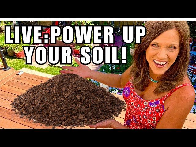 LIVE:  Power Up Your Soil For Next Spring (REPLAY)