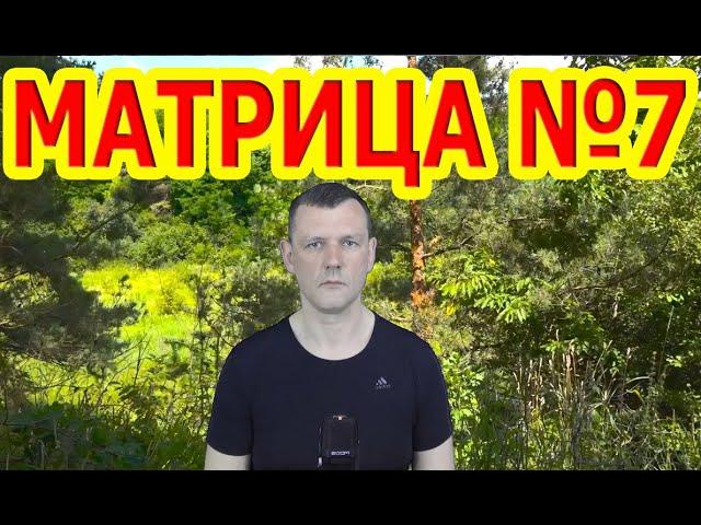 Матрица №7 Исцеление  Всего Организма и Регенерация.