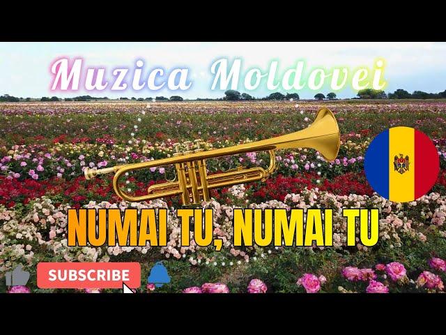 NUMAI TU ️ CEA MAI FRUMOASĂ MUZICĂ MOLDOVENEASCĂ  COVER LA TROMPETĂ