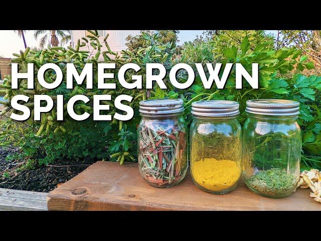 How to Dehydrate Herbs and Make Your Own Spices