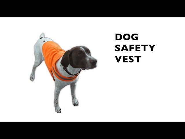 Dog Safety Vest