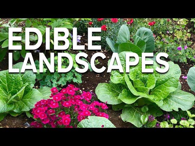 Edible Landscaping! Growing Vegetables in Your Flower Bed