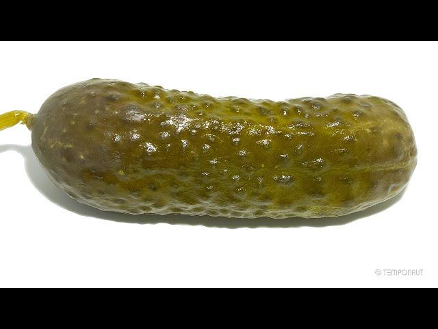 Pickle