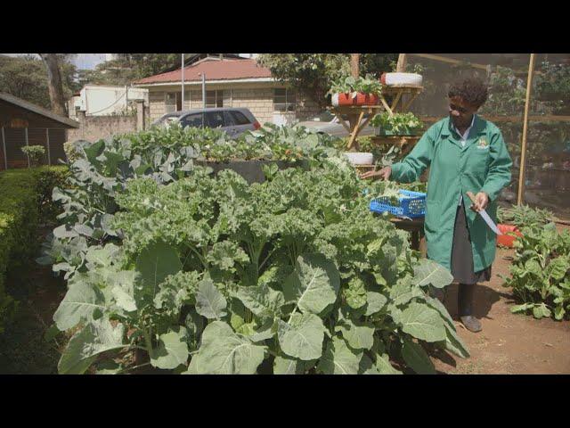 Safe use of agro chemicals and harvesting - Farm Kenya