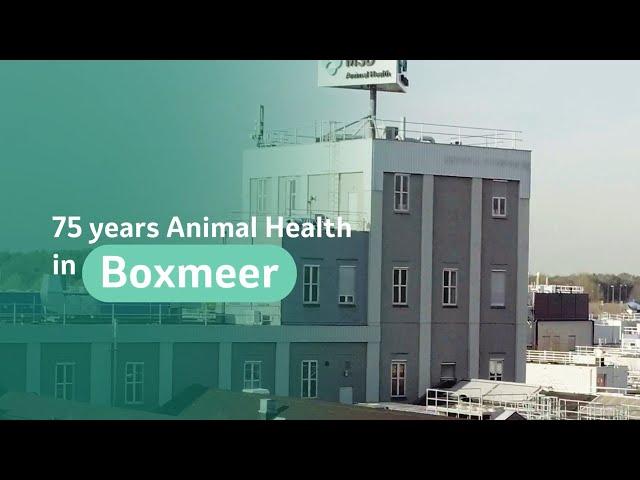 MSD Animal Health Boxmeer celebrates 75 years