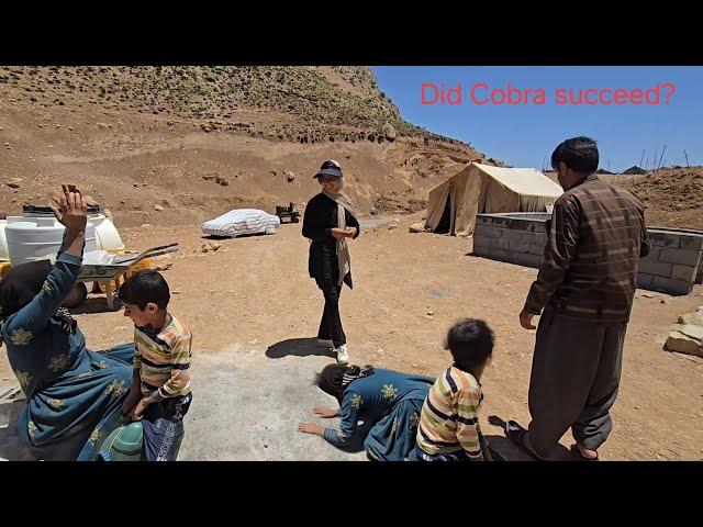Dreams are coming true! Kobra was hired and Saman returned, but Khadija shocked everyone!
