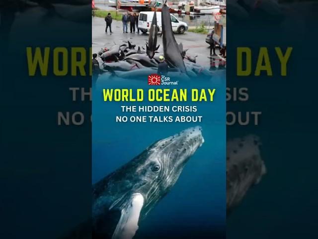 #worldoceansday Hidden Whale Crisis