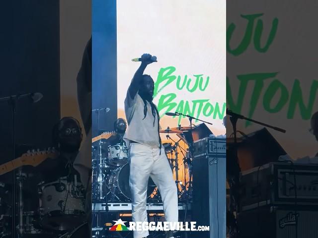 BUJU BANTON in Miami, Florida @ BEST OF THE BEST 2025