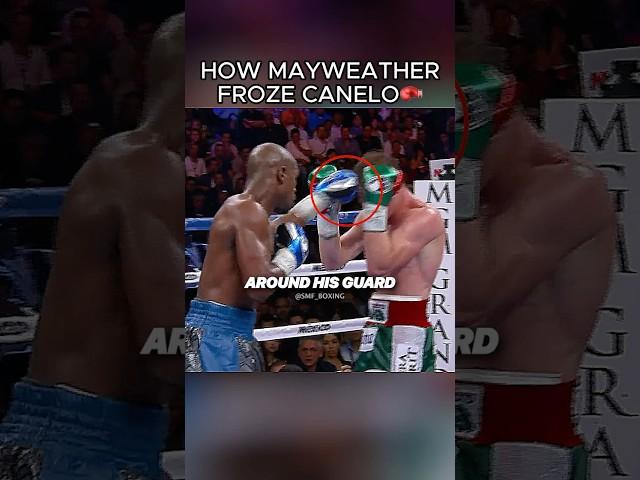 How Mayweather Completely Froze Canelo