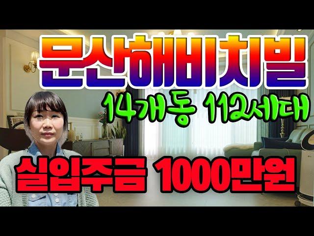 파주신축빌라 문산해비치빌 112세대분양중 010-4117-6916