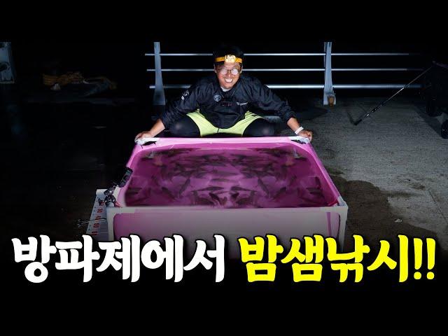 방파제에서 밤새도록 낚시를 하면 몇마리가 잡힐까?? [박과장TV]