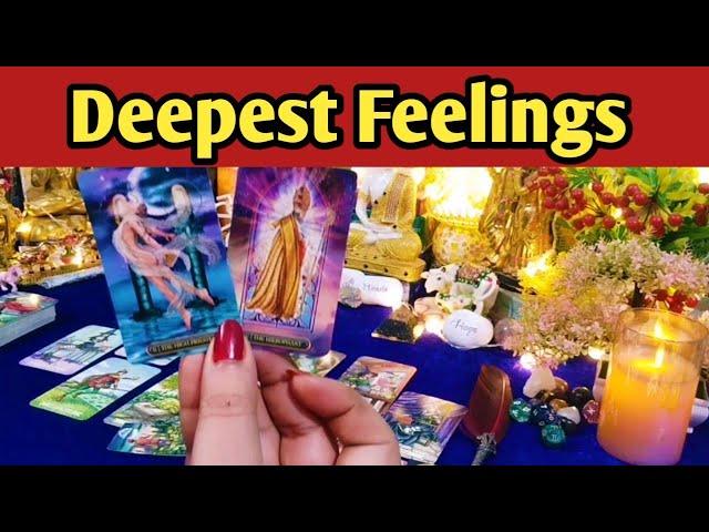 Deepest Feelings Next Action With Angel Guidance All Signs Collective Timeless Tarot Reading