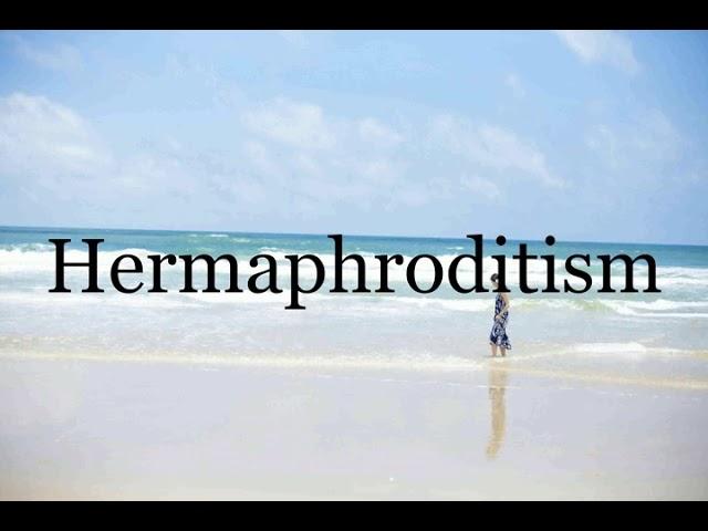 How To Pronounce HermaphroditismPronunciation Of Hermaphroditism