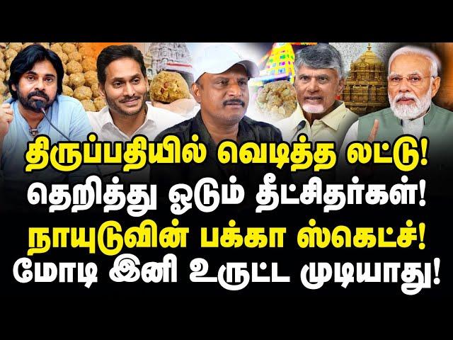 திருப்பதியில் வெடித்த லட்டு! | நாயுடுவின் பக்கா ஸ்கெட்ச்! | மோடி இனி உருட்ட முடியாது! | Umapathy |