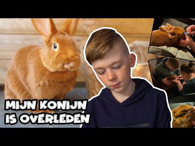 AFSCHEID NEMEN VAN MIJN KONIJN  !! - De Bakkertjes #513