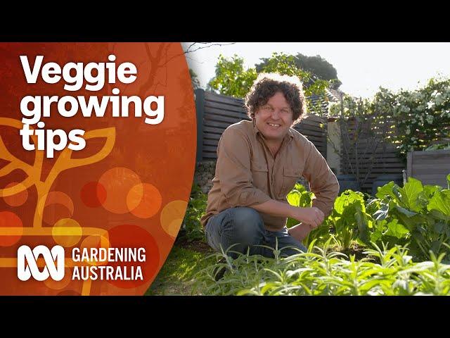 How to maximise your vegetable gardens produce year-round  | Gardening 101 | Gardening Australia