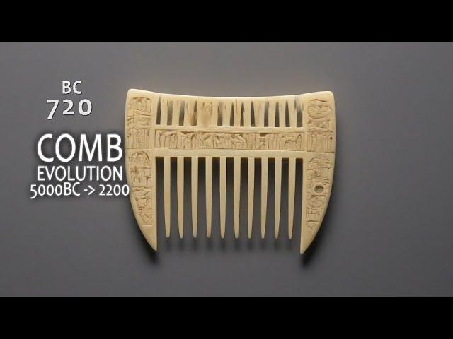 The Evolution the Comb from 5000 BC to 2200 (4K video)