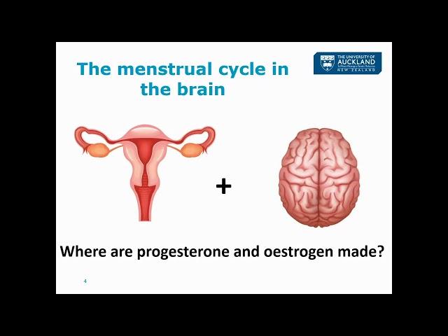 Epilepsy, sex hormones and the female brain