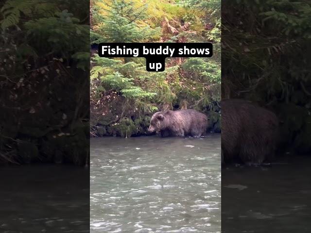 Brown bear pops into the fishing hole!