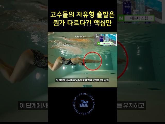 고수들의 자유형 출발은 뭔가가 다르다?! 핵심만 #수영배우기 #수영강습