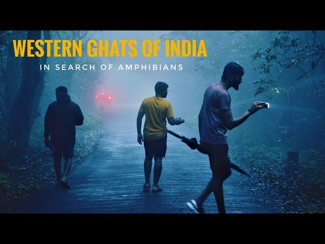 Amboli-Western Ghats के अंदर उसकी तलाश है हम्मे | Wildlife Documentary | Rohan Travel Stories