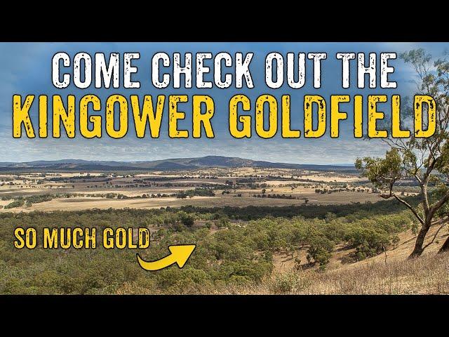The Insanely Rich KINGOWER GOLDFIELD