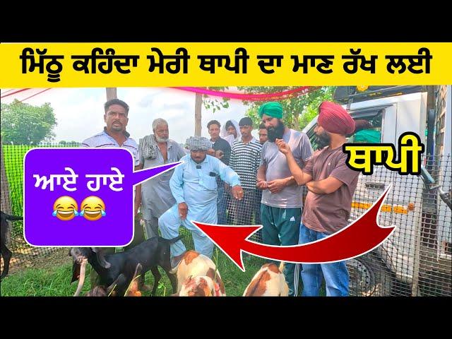 ਮਿੱਠੂ ਕਹਿੰਦਾ ਮੇਰੀ ਥਾਪੀ ਦਾ ਮਾਣ ਰੱਖ ਲਈ । Longowal Bakra Mandi #goat #goats