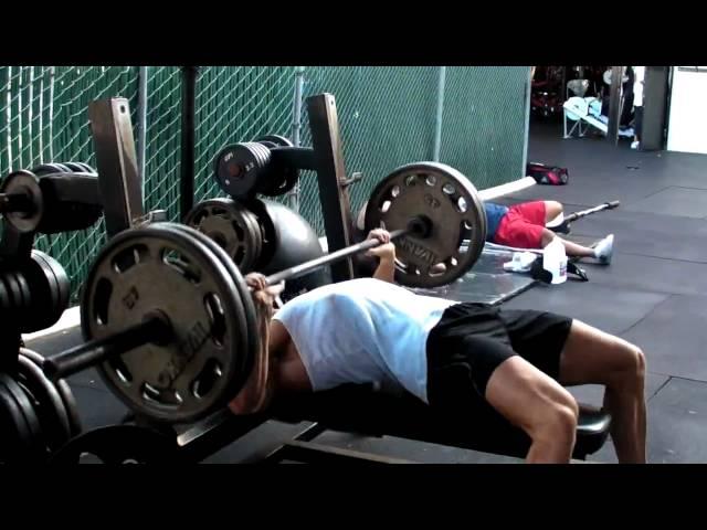 WBFF Pro - Rob Riches. Video Blog. Video #14: Chest & Triceps @ Gold's Gym, Venice. Part 1 of 2