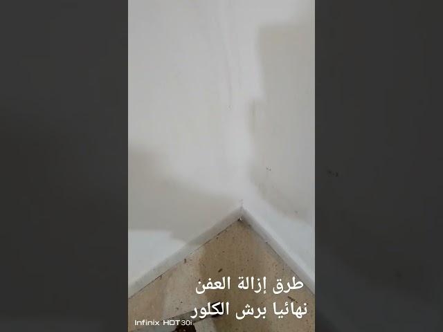 طريقة سريعة لإزالة العفن عن الجدران