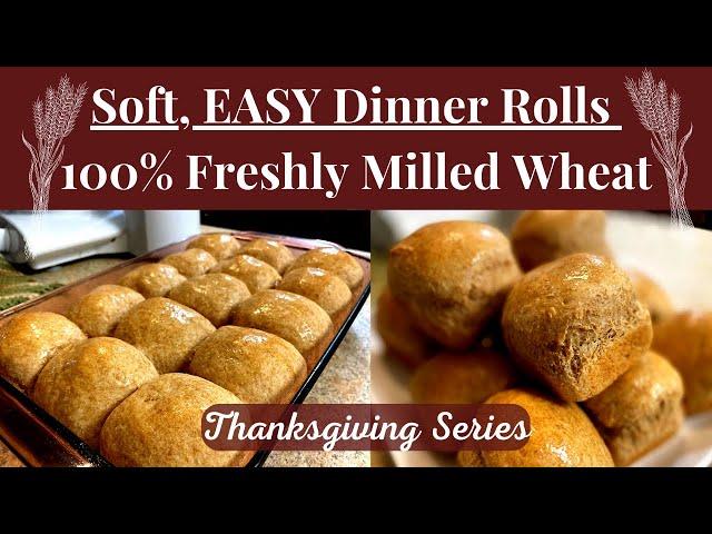 Soft, EASY Dinner Rolls w/100% Freshly Milled Wheat | Thanksgiving Recipes | Healthy Dinner Rolls