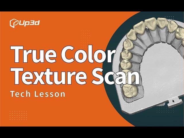 True Color Texture Scan「UP3D Tech Lesson」