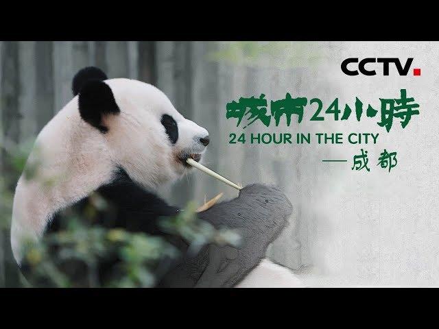 《城市24小时》 第四集 成都 | CCTV纪录