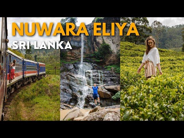 Scenic Train Ride & Exploring Tea Fields in Nuwara Eliya | SRI LANKA SERIES