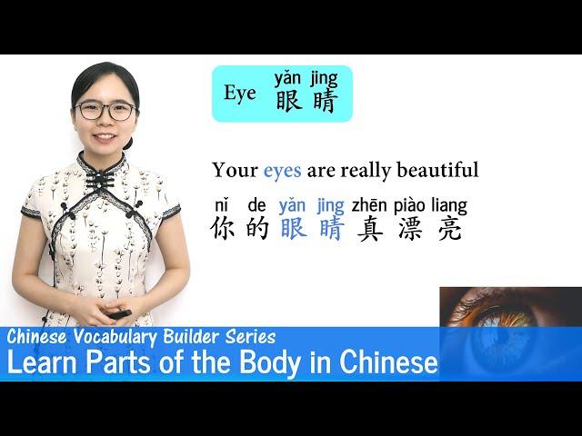 Learn Parts of the Body in Mandarin | Vocab Lesson 13 | Chinese Vocabulary Builder Series