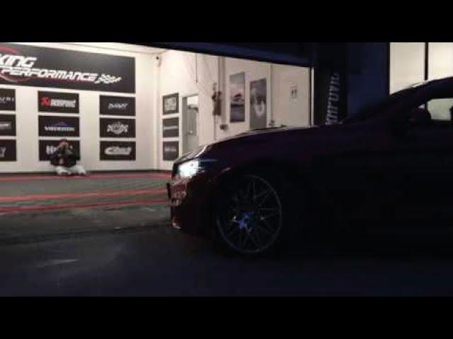 King Performance Düsseldorf e.K. erhält Boden by Performance Floor