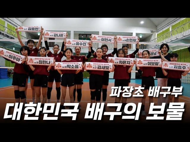 박경낭 코치가 이끈다!! 대한민국 배구의 보물 파장초등학교 배구부