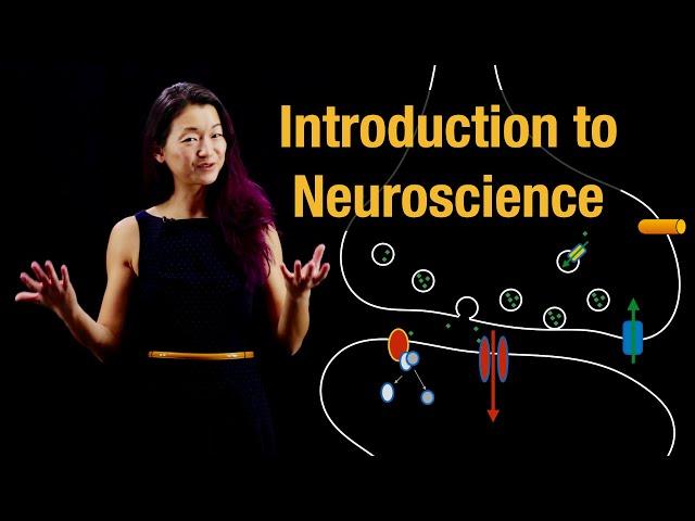 Intro to Neuroscience, Overview and goals