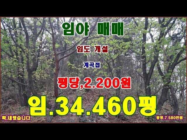 물번,705번) 임야34.460평 평당,2.200원으로 확 내려서 매매합니다 임도 잘 만들어져 있고 전기 인입 쉬우며 계곡도 접하고 있습니다, 상단 부분까지 차량통행 됩니다~