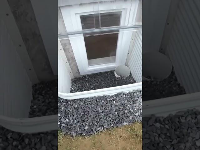 Window Well #basement #windows