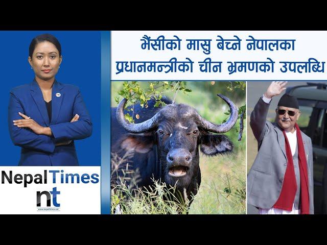 भैंसीको मासु बेचेर नेपालले व्यापार घाटा घटाउने|| Nepal Times