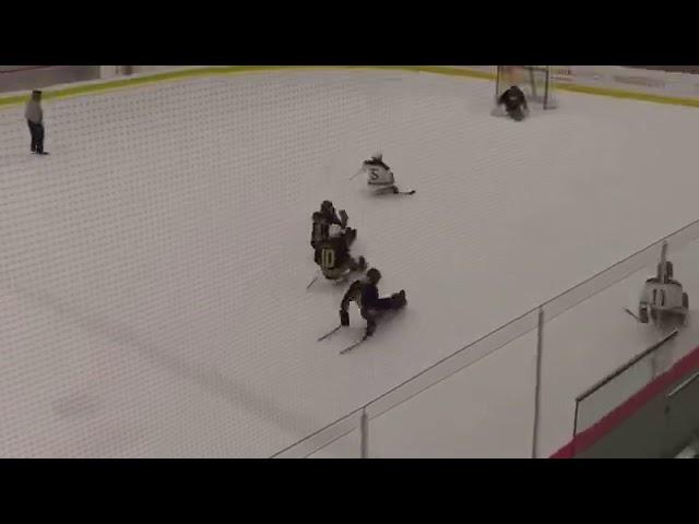 Daniel Malloy scoring in Chicago at NHL festival