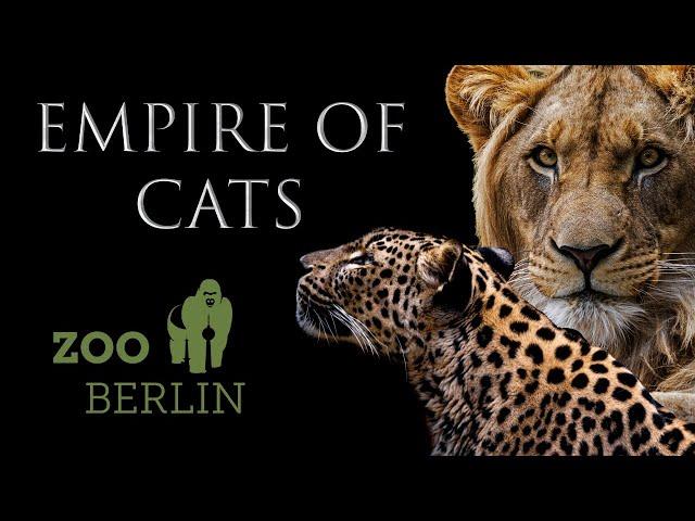 Tour of Empire Of Cats at Zoo Berlin