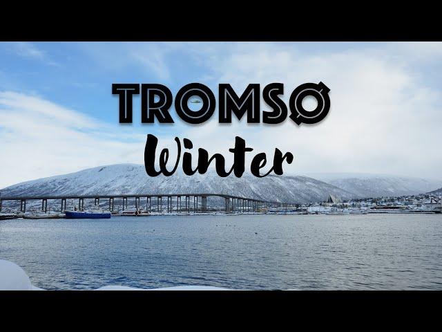 Tromsø winter