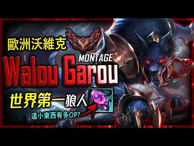 Walou Garou Best Warwick "RANK 1" | INSANE HEAL POWER MONTAGE  - League of Legends