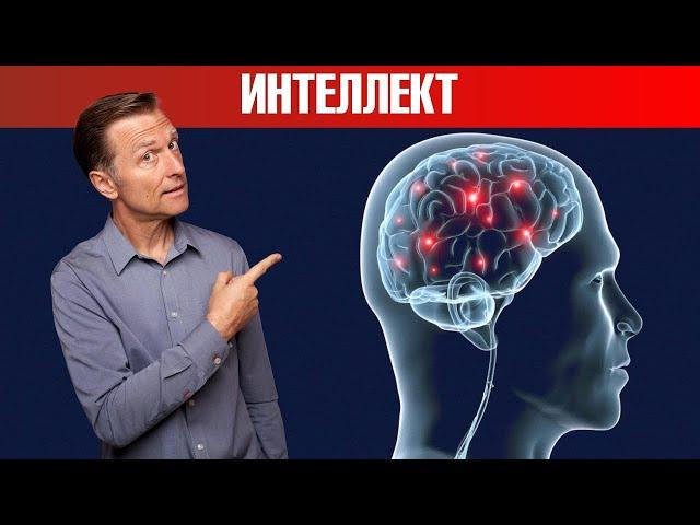 4 минерала, влияющих на уровень IQ. Главные витамины для мозга