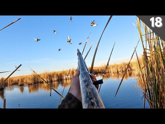 DECOYING Migrating MALLARDS Into A TINY Cattail Hole (Limited Out) | Duck Hunting 2024