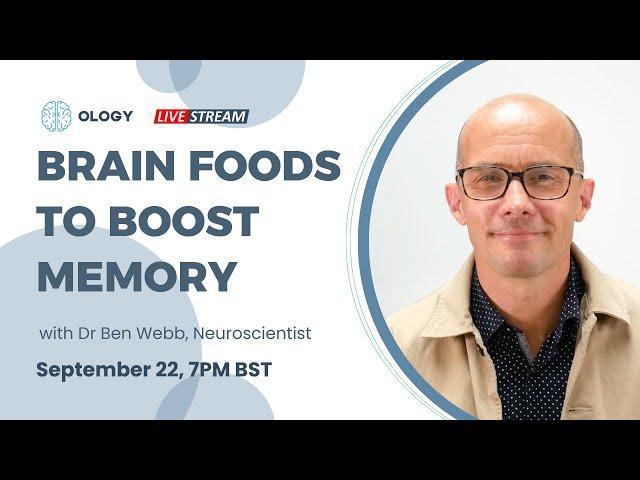 Brain foods to boost memory