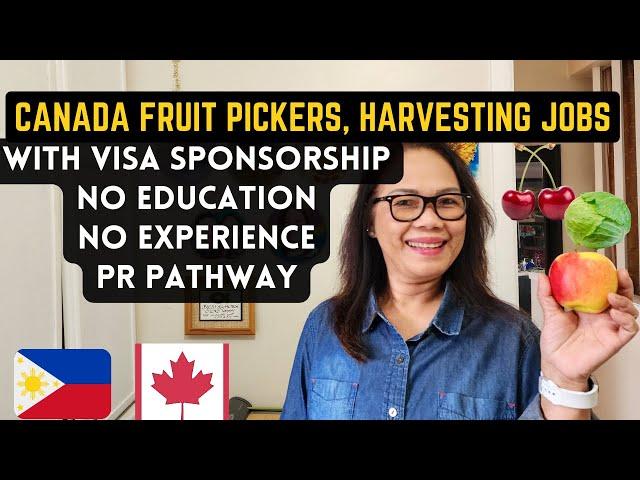 CANADA FRUIT PICKER AND HARVESTING JOBS WITH VISA SPONSORSHIP, NO EDUCATION, NO EXPEREINCE NEEDED