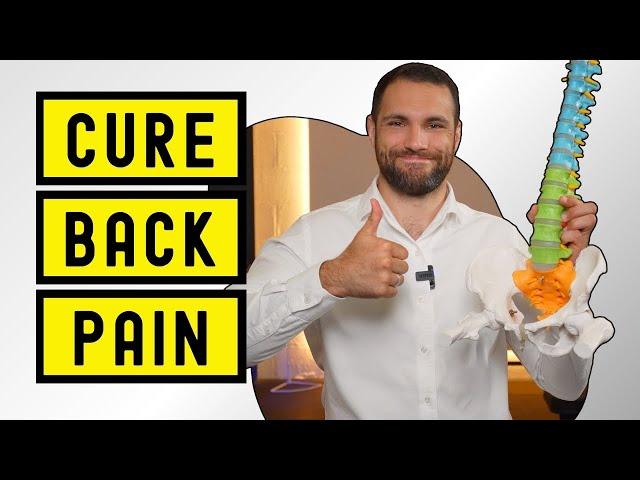 These 5 Exercises Will Fix Back Pain For Good [Rehab Essentials]