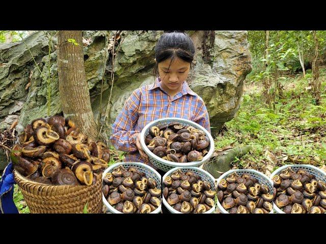 Orphaned girl Ly Tieu Bong went into the forest alone to catch wild snails to sell at the market.